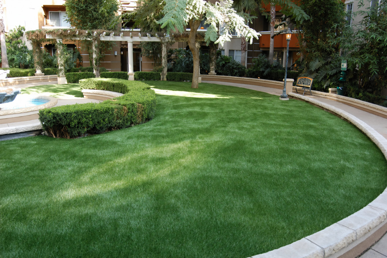 Drought-tolerant turf in Gainesville, FL